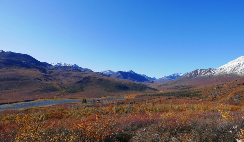 Tundra Ártica & Dawson City | Colores de otoño en su mejor momento