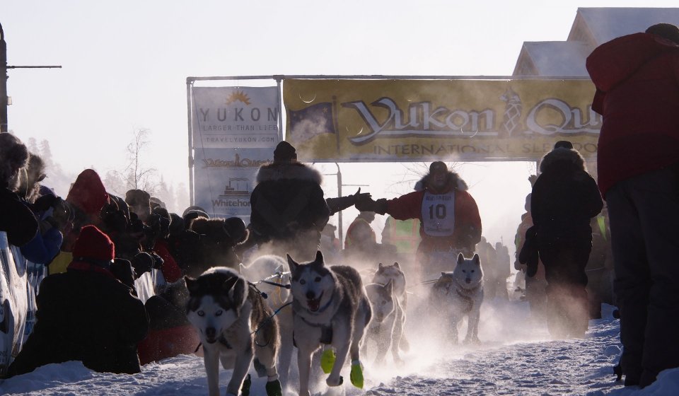 Yukon Quest Dog sledding | Follow the toughest race