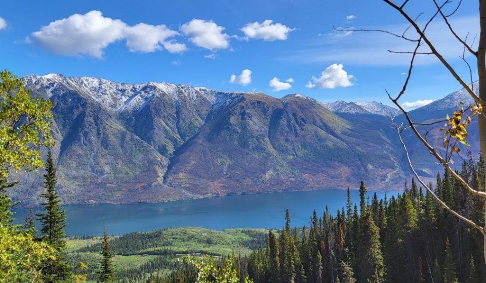 Día Ártico: Senderismo en Carcross & Lagos del Sur | Día completo