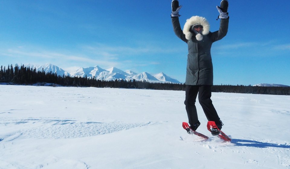 Día Ártico: Caminata Sobre la Nieve en Kluane | Día Completo