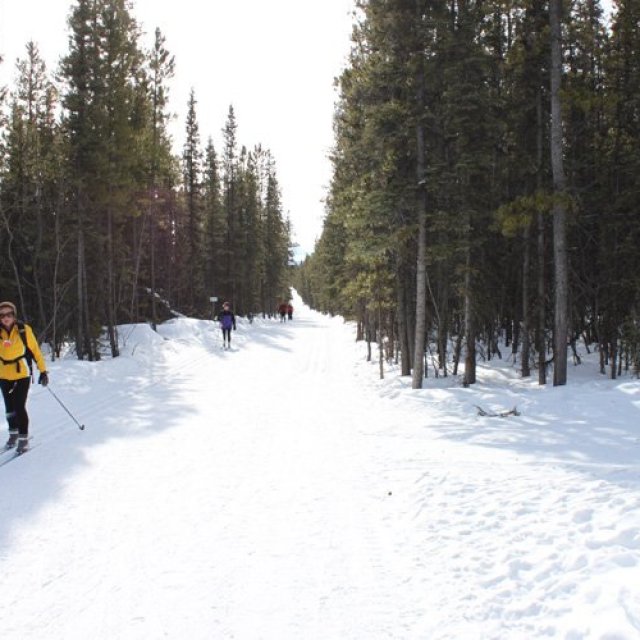 ski tour yukon