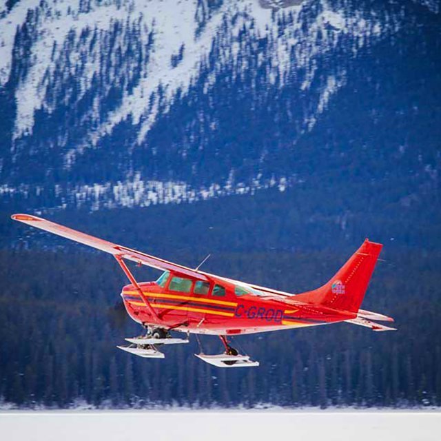 plane tours whitehorse