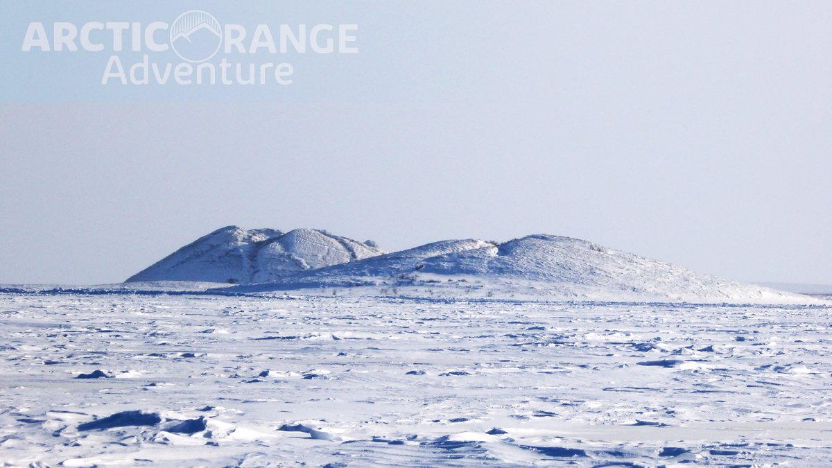 Pingos at Tuktoyaktuk | Arctic Range Adventure