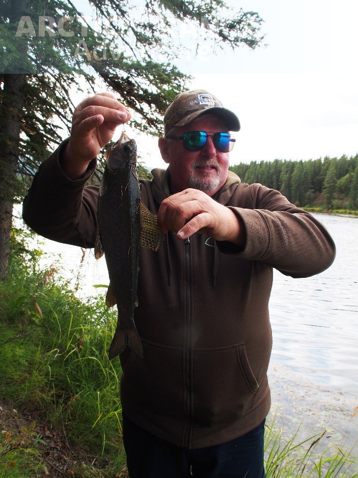 Rainbow Trout Arctic Range Adventure