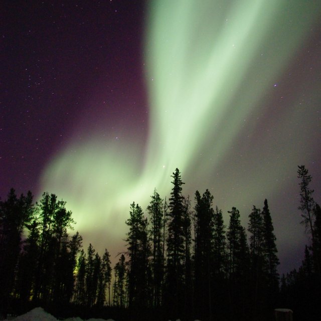 Arctic Day: Aurora Viewing | evening (Feb 15, 2012)