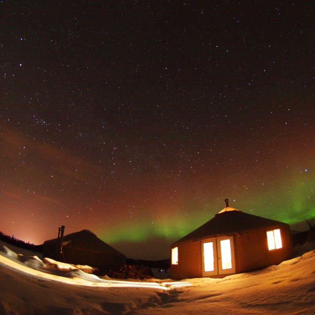 Arctic Day: Aurora Viewing | evening (Feb 17, 2012)