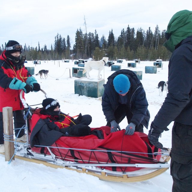 Arctic Day: Dog Sledding | half day tour (Jan 10, 2012)