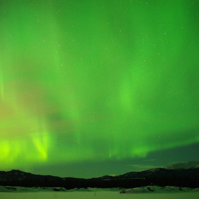 Arctic Day: Aurora Viewing | evening (Feb 29, 2012)