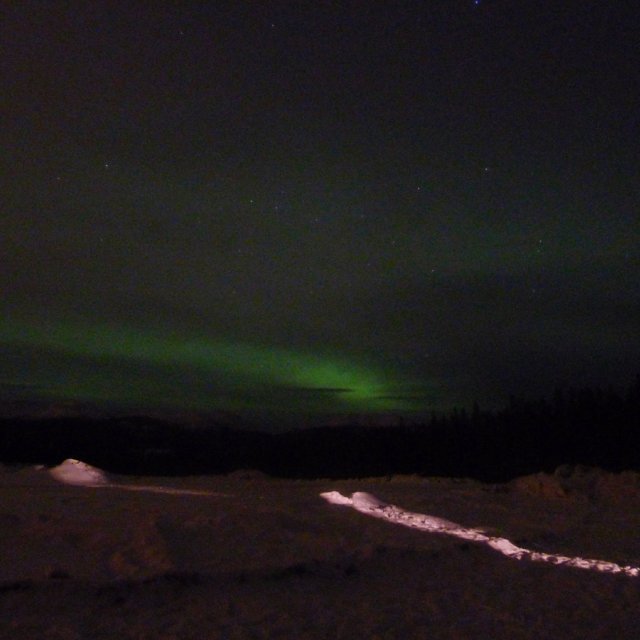 Arctic Day: Aurora Viewing | evening (Feb 13, 2012)