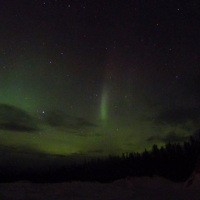 Arctic Day: Aurora Viewing | evening (Mar 12, 2012)