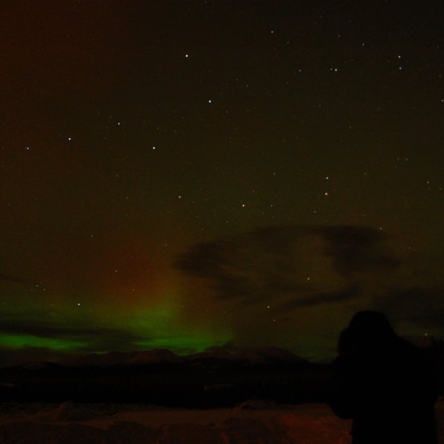 Arctic Day: Aurora Viewing | evening (Nov 28, 2011)
