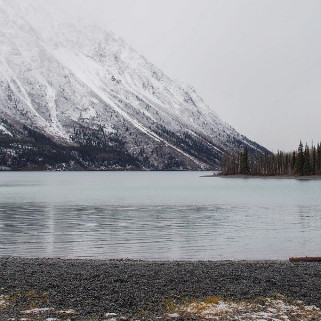 Arctic Day: Kluane National Park Tour | full day (Oct 11, 2019)