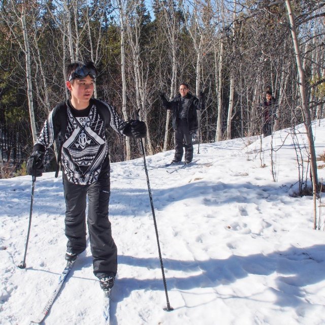 Arctic Day: Cross Country Ski Tour | half day (Mar 12, 2019)