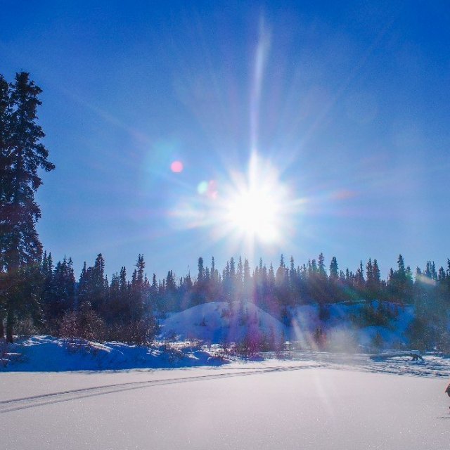 Arctic Day: Snowshoeing | half day (Feb 16, 2019)