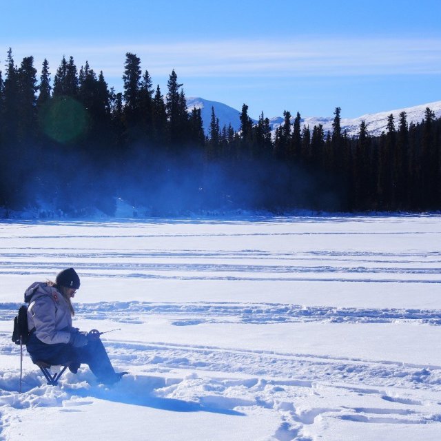 Arctic Day: Ice Fishing | half day (Mar 4, 2019)