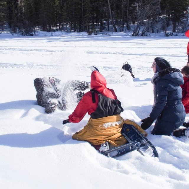 Arctic Day: Snowshoeing | half day (Mar 12 , 2019)