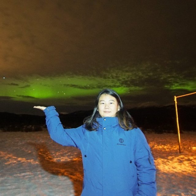 Arctic Day: Aurora Borealis Viewing | evening (Nov 29, 2019)