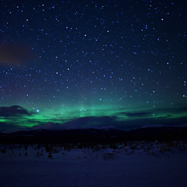 Arctic Day: Aurora Borealis Viewing | evening (Jan 23, 2017)