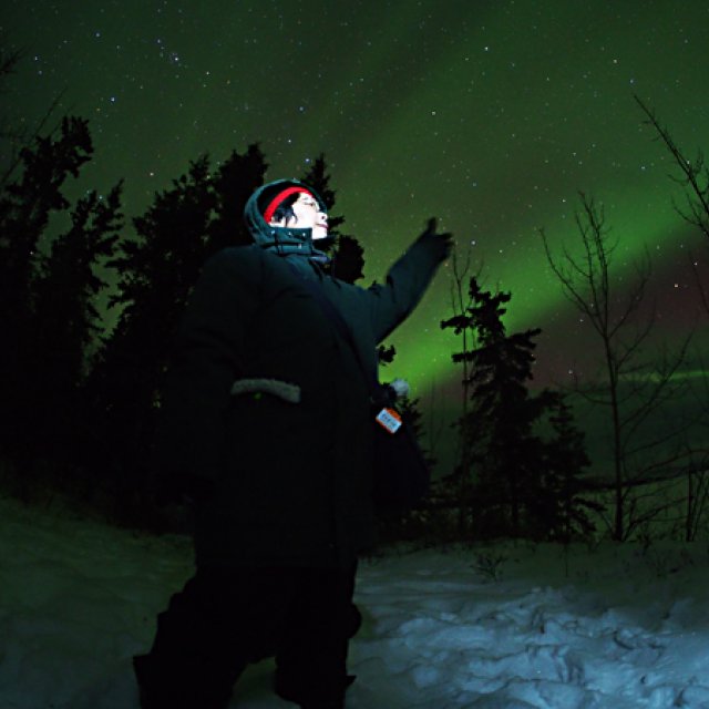 Arctic Day: Aurora Borealis Viewing | evening (Jan 26, 2017)