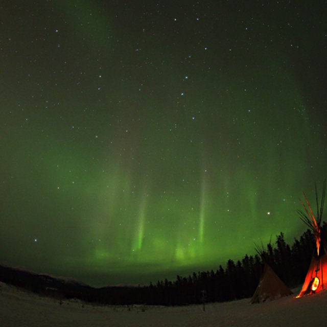 Arctic Day: Aurora Borealis Viewing | evening (Jan 31, 2017)