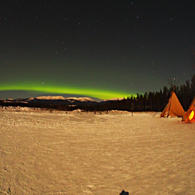 Arctic Day: Aurora Borealis Viewing | evening (Feb 5, 2017)