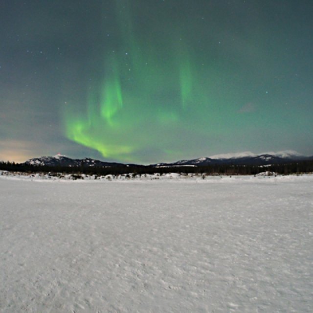 Arctic Day: Aurora Borealis Viewing | evening (Mar 8, 2017)