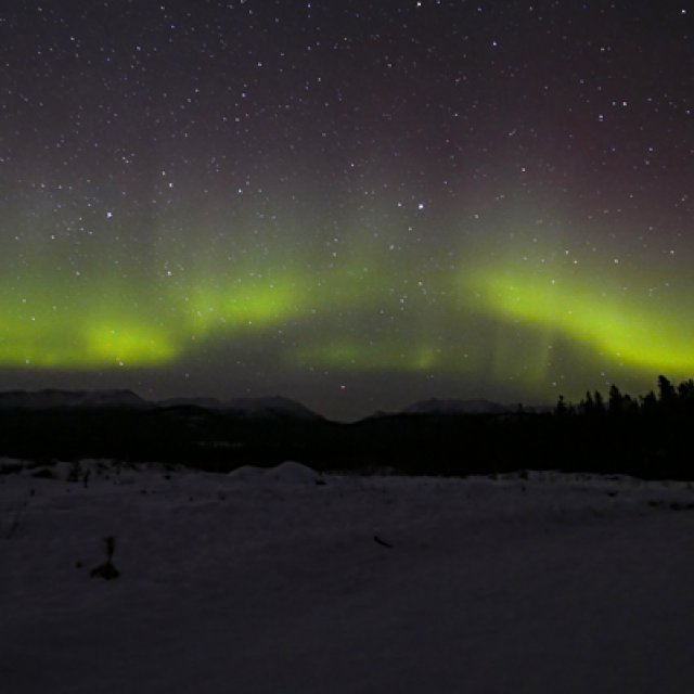 Arctic Day: Aurora Borealis Viewing | evening (Mar 12, 2016)