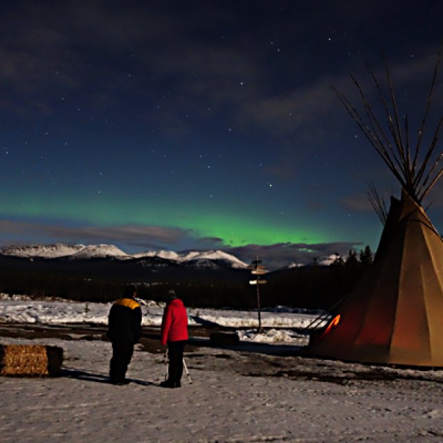 Arctic Day: Aurora Borealis Viewing | evening (Mar 24, 2016)