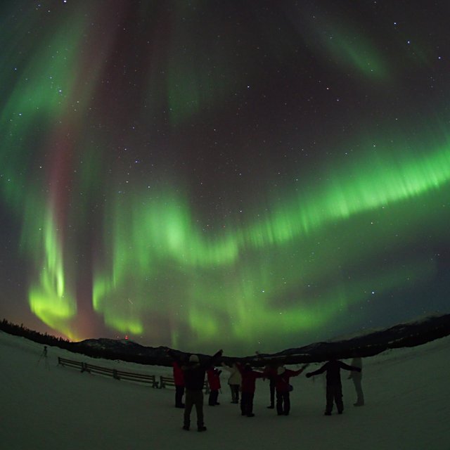 Arctic Day: Aurora Viewing | evening (Feb 18, 2014)