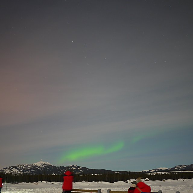 Arctic Day: Aurora Viewing | evening (Feb 25, 2013)