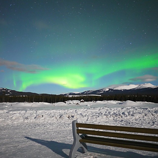 Arctic Day: Aurora Viewing | evening (Feb 27, 2013)