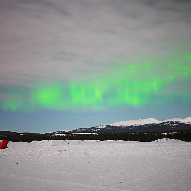 Arctic Day: Aurora Viewing | evening (Mar 23, 2013)