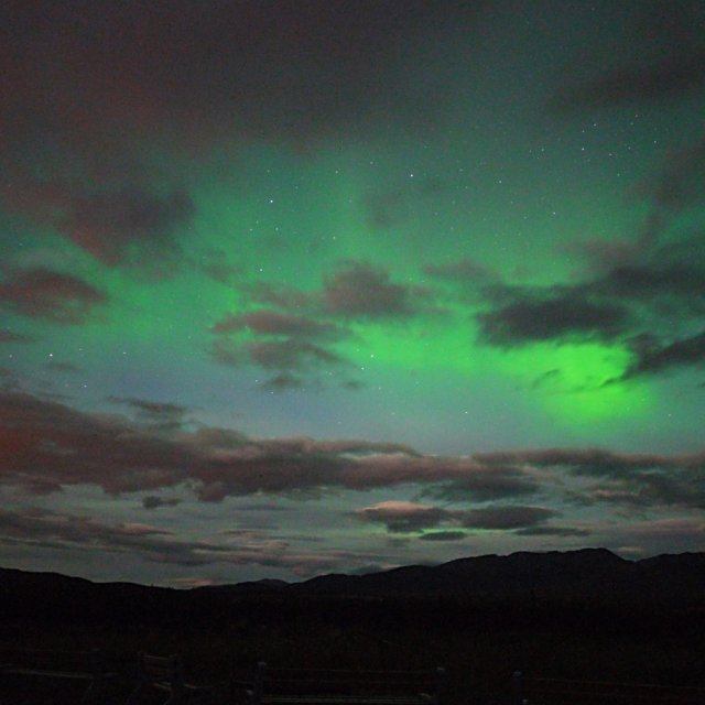 Arctic Day: Aurora Viewing | evening (Aug 16, 2013)