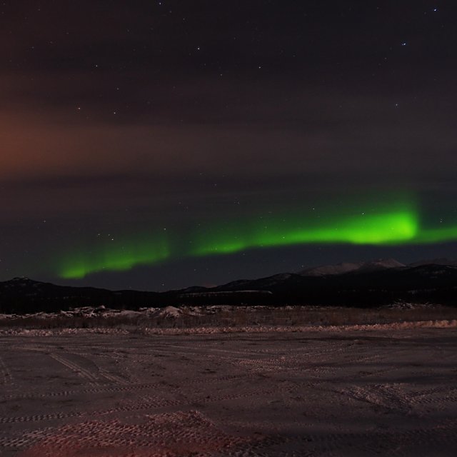 Arctic Day: Aurora Viewing | evening (Nov 23, 2013)