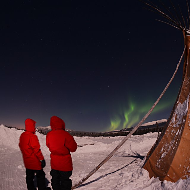 Arctic Day: Aurora Viewing | evening (Dec 17, 2013)