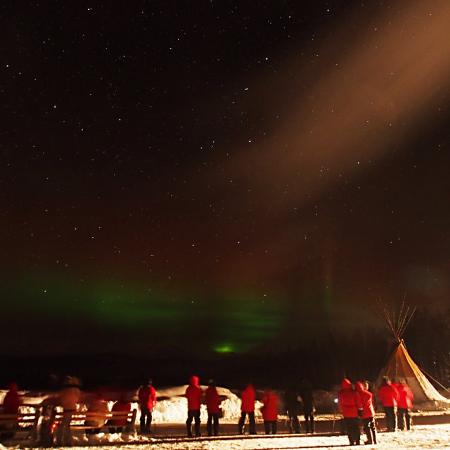 Arctic Day: Aurora Viewing | evening (Dec 27, 2013)