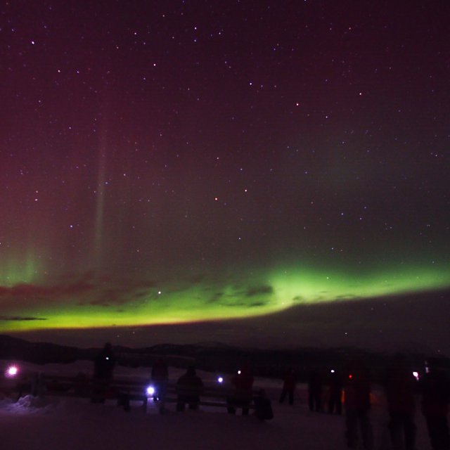 Arctic Day: Aurora Viewing | evening (Jan 3, 2014)