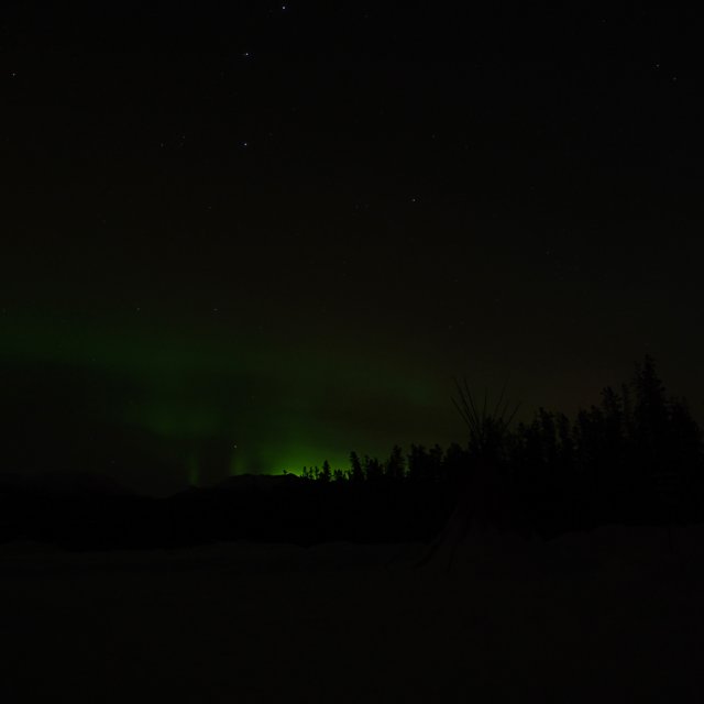 Arctic Day: Aurora Viewing | evening (Jan 20, 2014)