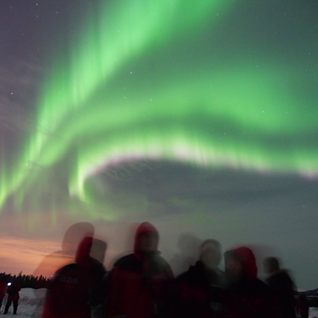 Arctic Day: Aurora Viewing | evening (Feb 7, 2014)