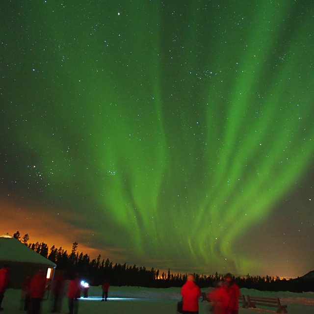 Arctic Day: Aurora Viewing | evening (Feb 20, 2014)