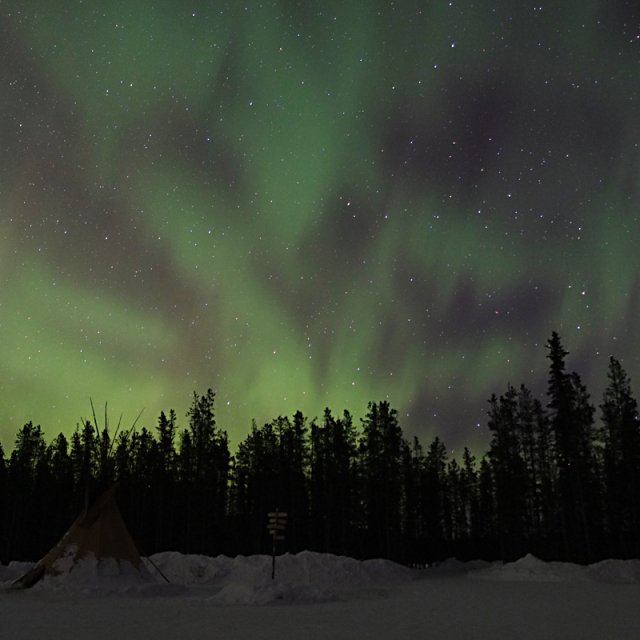 Arctic Day: Aurora Viewing | evening (Feb 27, 2014)