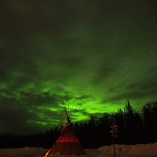 Arctic Day: Aurora Viewing | evening (Mar 20, 2014)