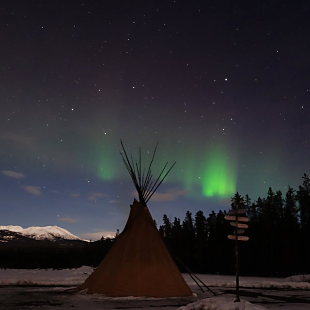 Arctic Day: Aurora Viewing | evening (Mar 31, 2015)