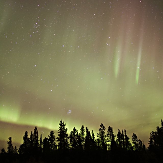 Arctic Day: Aurora Borealis Viewing | evening (Sep 15, 2017)