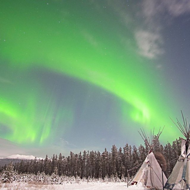 Arctic Day: Aurora Viewing | evening (Nov 20, 2021)