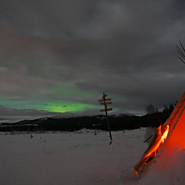 Arctic Day: Aurora Borealis Viewing | evening (Jan 28, 2016)