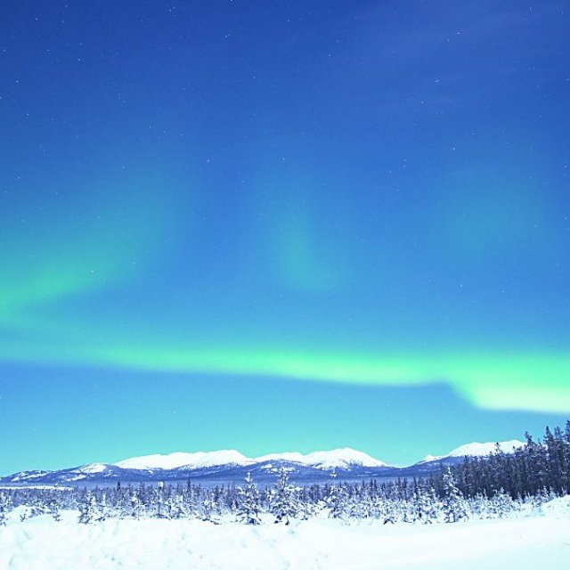 Arctic Day: Aurora Borealis Viewing | evening (Jan 17, 2022)