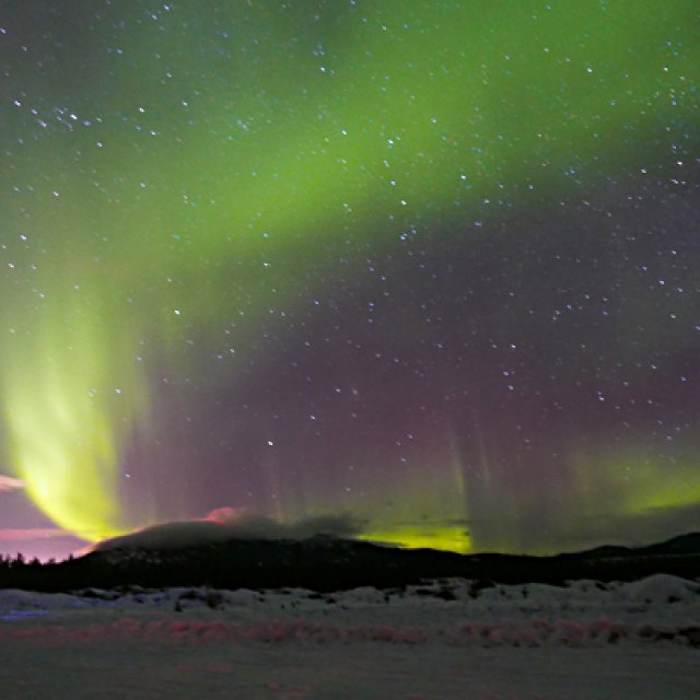 Arctic Day: Aurora Borealis Viewing | evening (Mar 9, 2016)