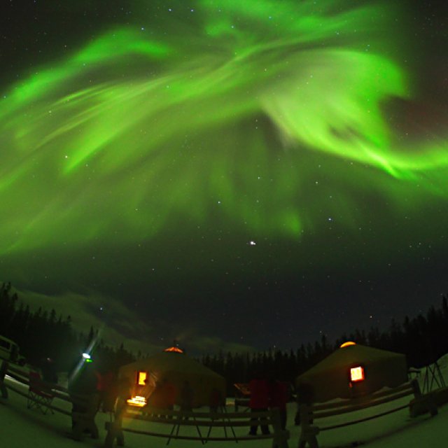 Arctic Day: Aurora Borealis Viewing | evening (Mar 10, 2016)