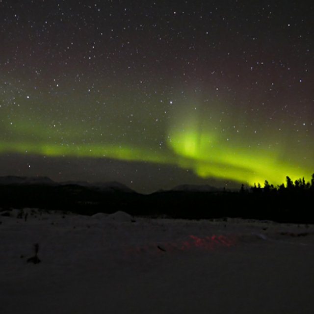 Arctic Day: Aurora Borealis Viewing | evening (Mar 11, 2016)